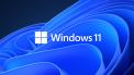 Windows-11 logo.jpg